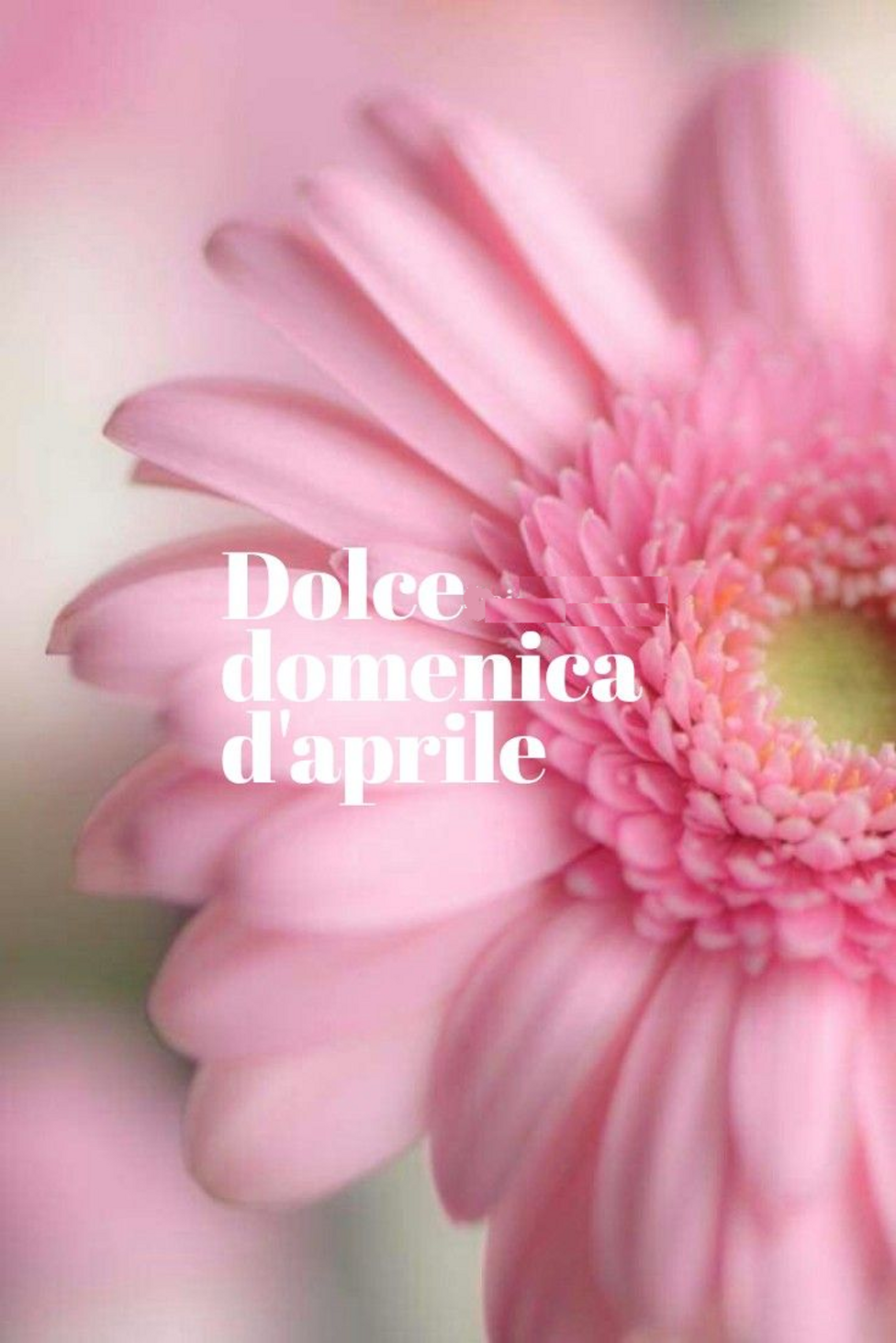 aprile domenica basic.png